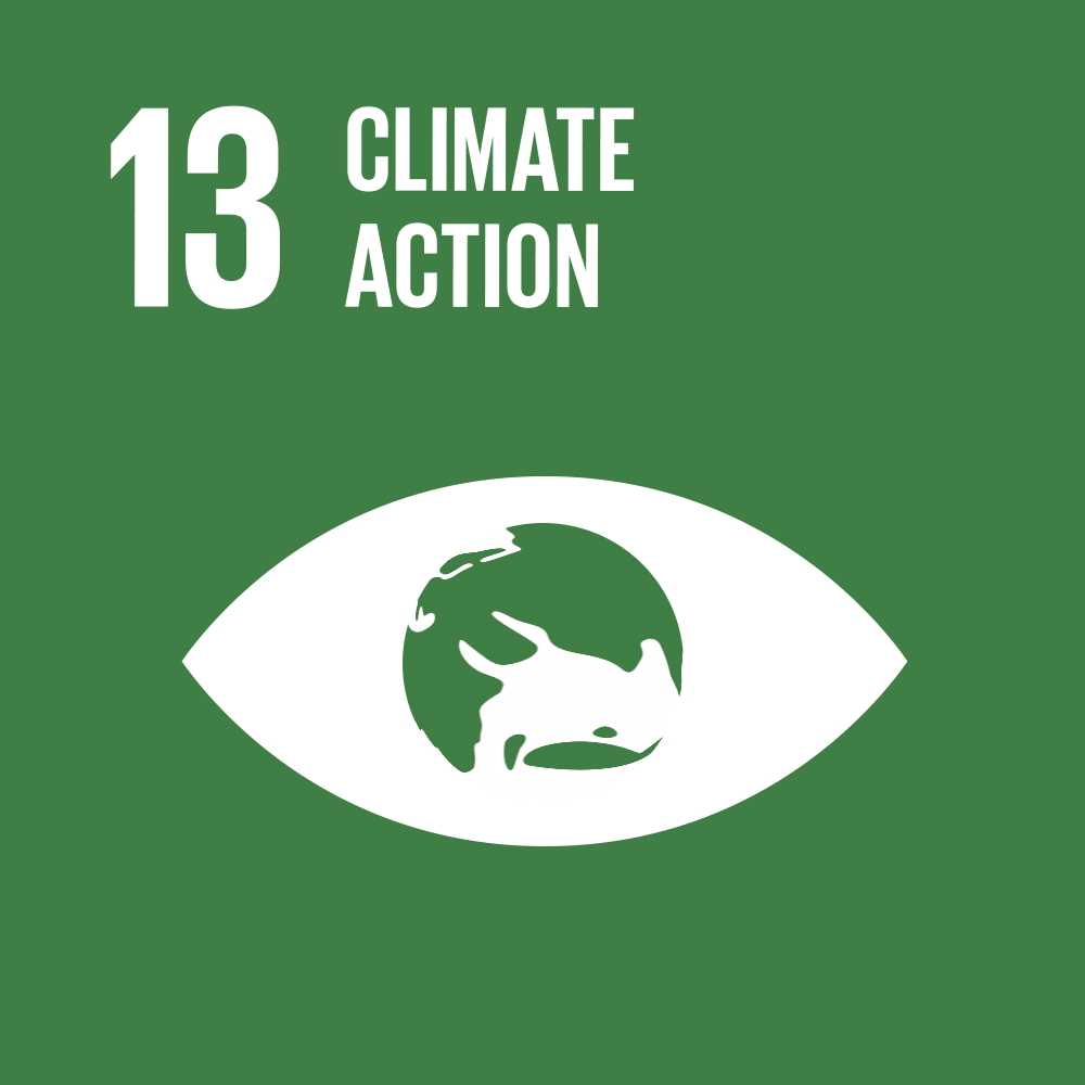 SDG 13 GIF